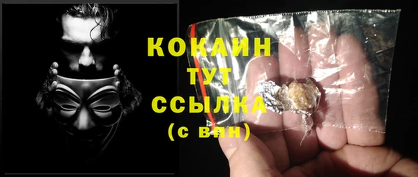 прущие крисы Балахна