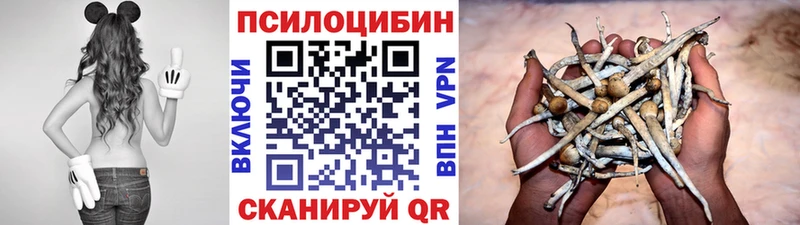наркошоп  Зеленогорск  Галлюциногенные грибы Magic Shrooms 